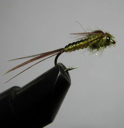 ���� ����� May Fly olive nymph ������ � 12